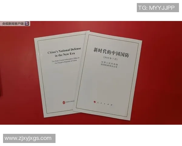 深入分析南京排球队防守策略与战术特点的专业解读