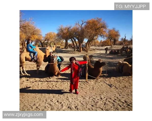 运动员杨娜专访回顾滑板生涯与体育梦想的追逐之路 运动员杨娜专访回顾滑板生涯与体育梦想的追逐之路