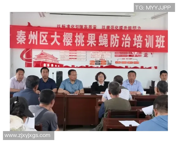 网球爱好者必看球鞋选购指南助你提升场上表现