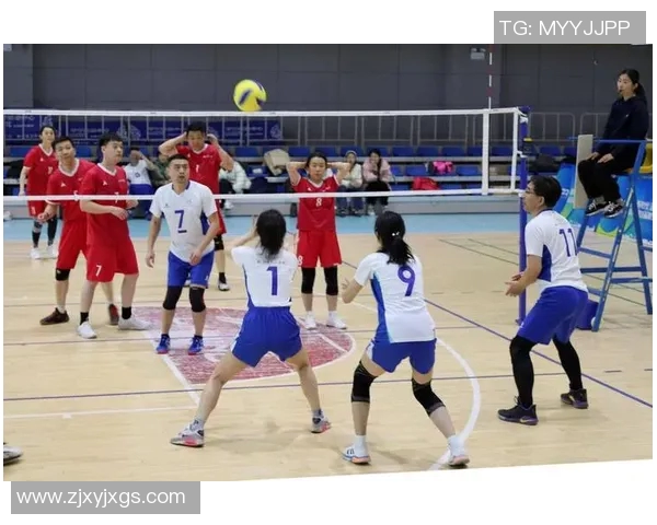 体育实时数据最新排球配合技巧解析北京排球队如何引领潮流与创新