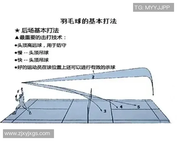 运动数据李秀英独家揭秘羽毛球技巧与训练心得分享